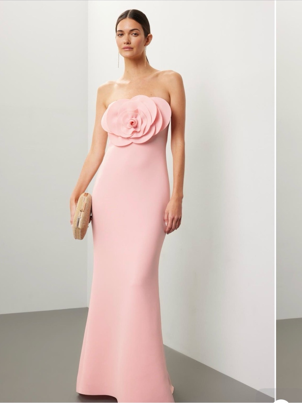 Badgley Mischka Strapless Blush Pink Floral Appliqué Gown